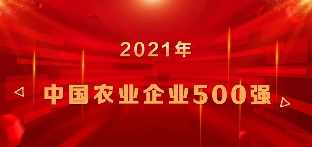 上榜|山東三星集團再登中國農業企業500強榜單