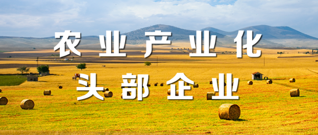 山東三星集團榮登“2021年度農業產業化頭部企業100家”“植物油行業頭部企業10家”榜單