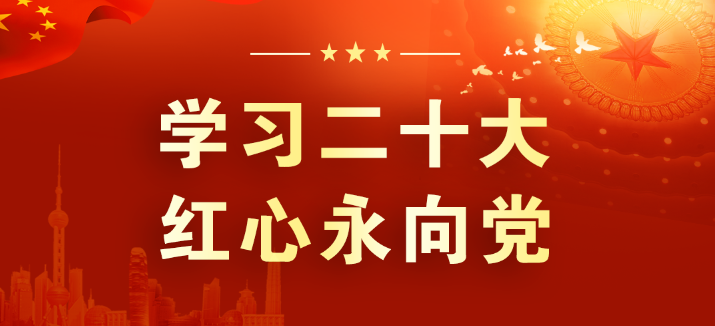 山東三星集團：學習領會二十大 征程踏新永前行