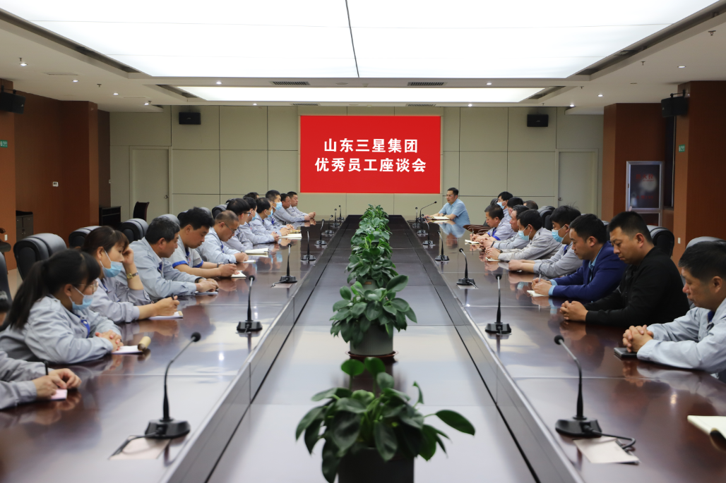 【強實干 促引領】山東三星集團召開優秀員工座談會