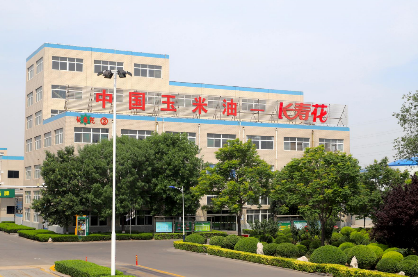 【喜報】長壽花入選2024年度山東省“頭雁”企業名單