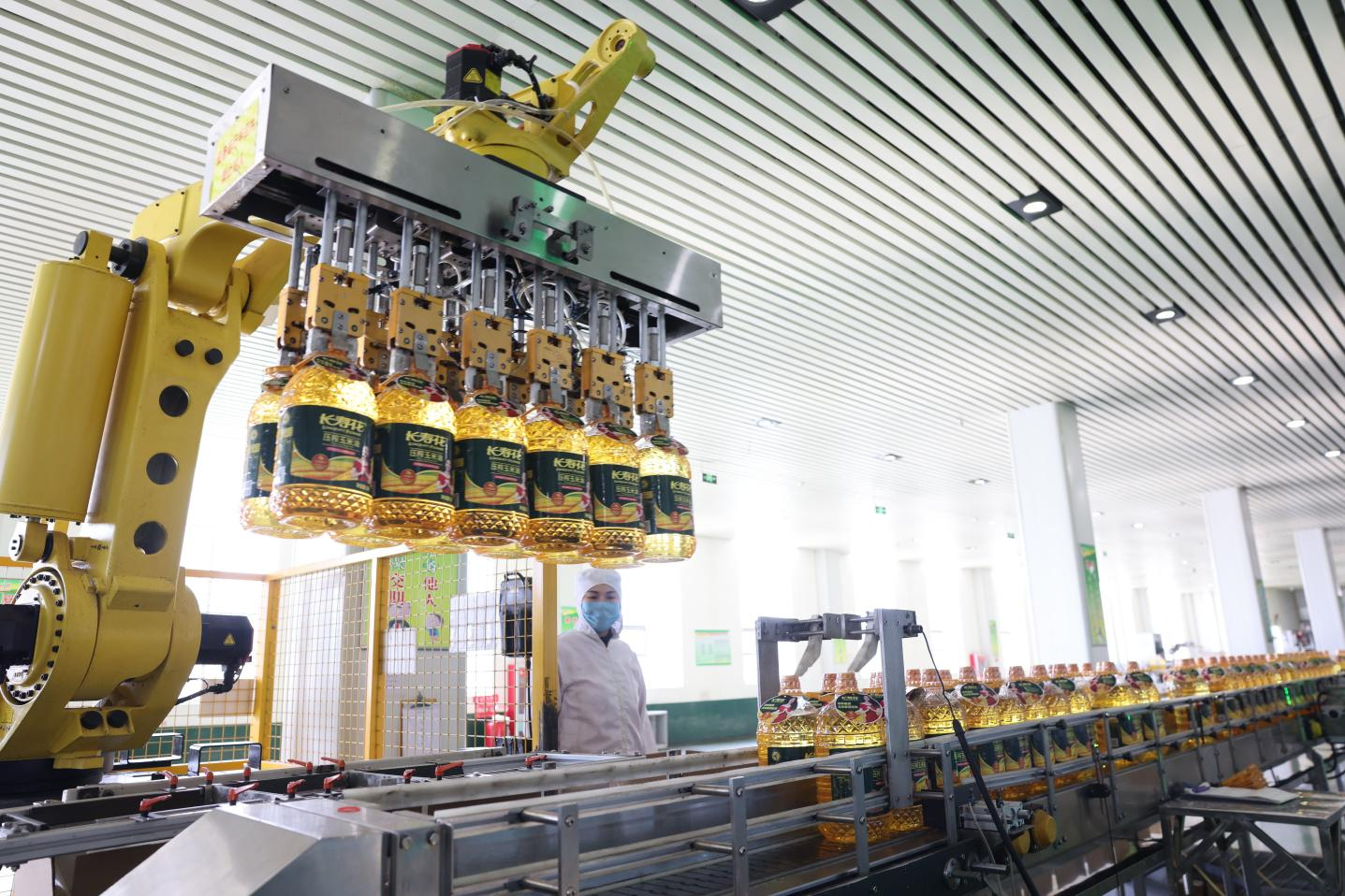 長壽花食品：定向發力夯實生產管控 創新驅動激活生產效能