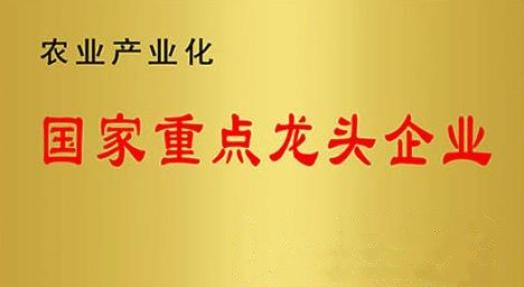 國家重點龍頭企業！山東三星集團連續上榜