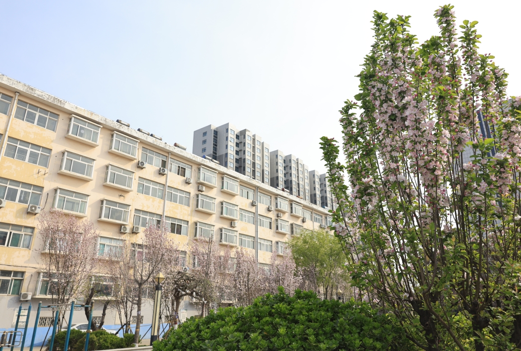 山東三星集團：春日煥新綠 匠心筑家園 職工公寓綠化品質再提升