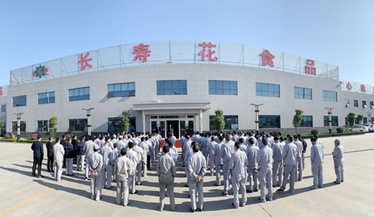 玉米產業：百日會戰激發干勁 全員發力創新創效